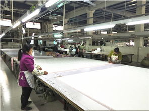 良心推薦 小永遠(yuǎn)羽絨被加工廠品質(zhì)優(yōu)價廉，誠招代理加盟